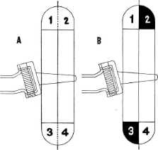 tmp6F-1.jpg