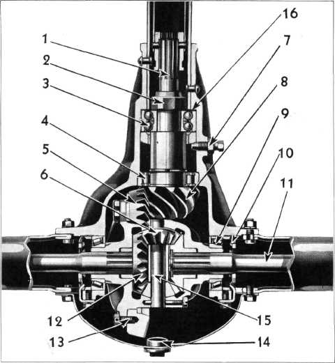 tmp40-1.jpg